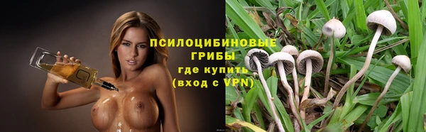 дурь Аркадак