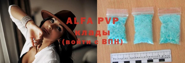 гашик Арсеньев