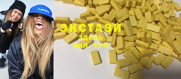 гашик Алексин
