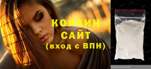 гашик Арсеньев