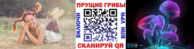 мориарти состав  как найти закладки  Щигры  Псилоцибиновые грибы Psilocybine cubensis 